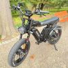 Dual Motor E-bike 2000W 52V 40Ah Fat Tire E-bike