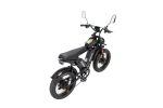 Dual Motor E-bike 2000W 52V 40Ah Fat Tire E-bike