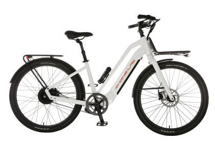 Ebike (size: M)